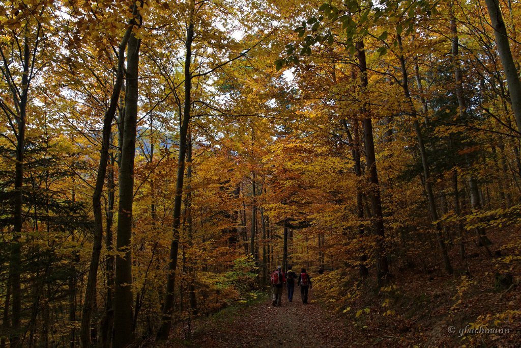 20101030_294